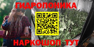 ALPHA PVP Канаш