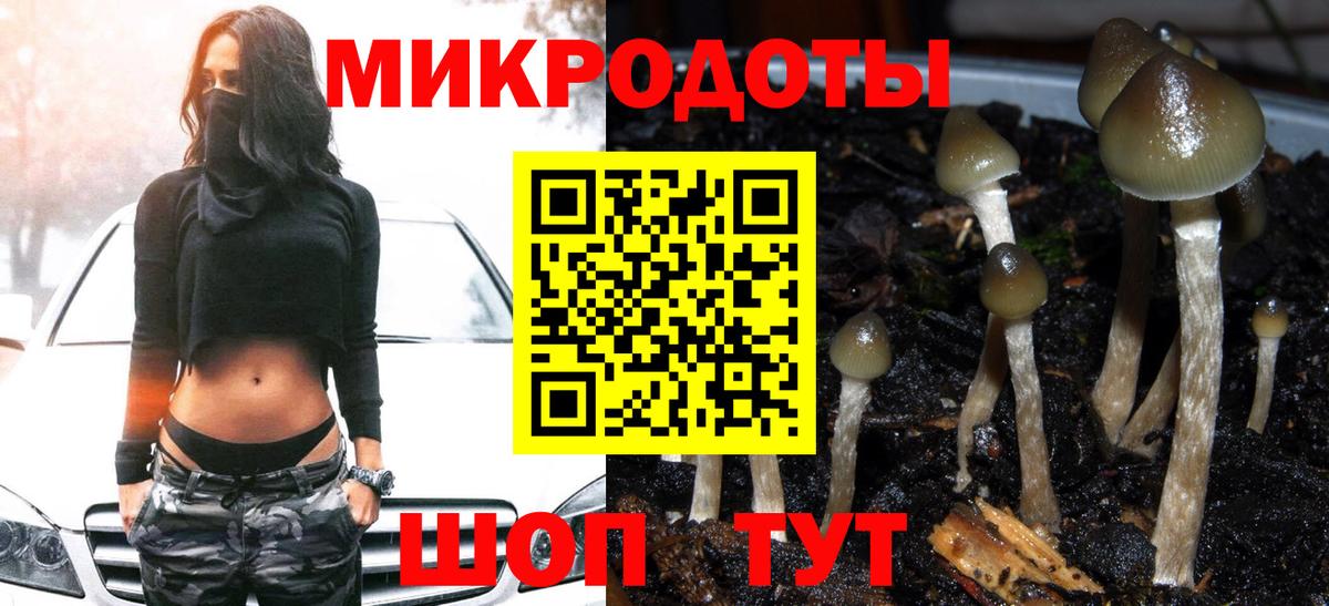 Галлюциногенные грибы Magic Shrooms  Вход с VPN  Кохма 