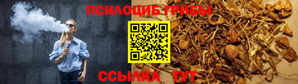 Галлюциногенные грибы Psilocybine cubensis Кохма